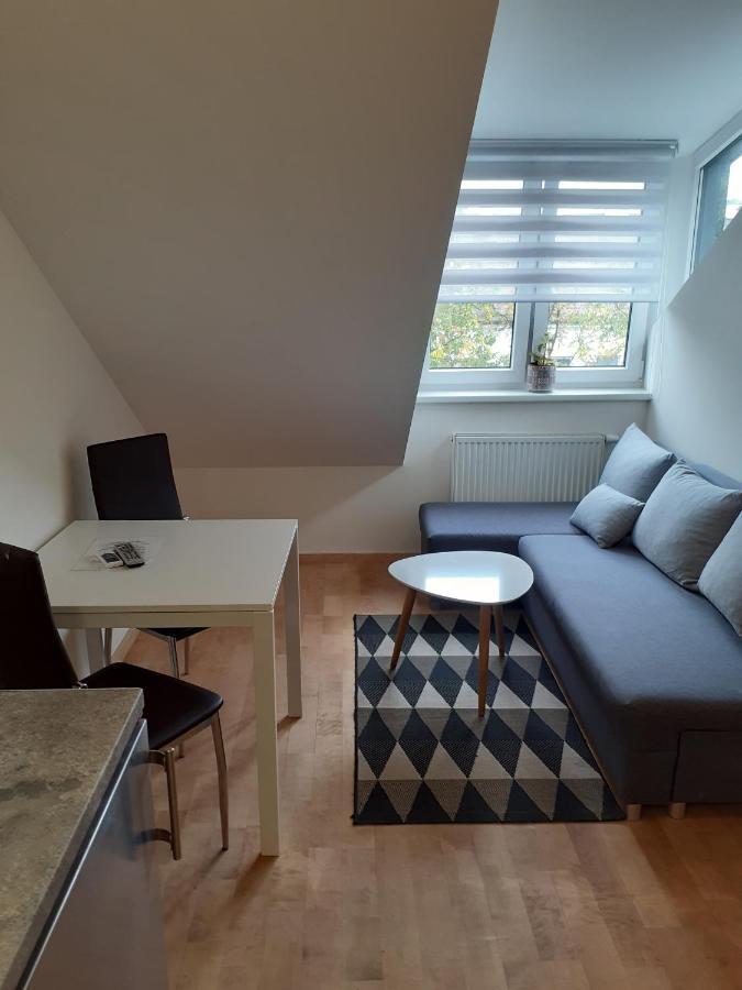 Attic Rooms At Laisves Avenue Kaunas Exteriér fotografie